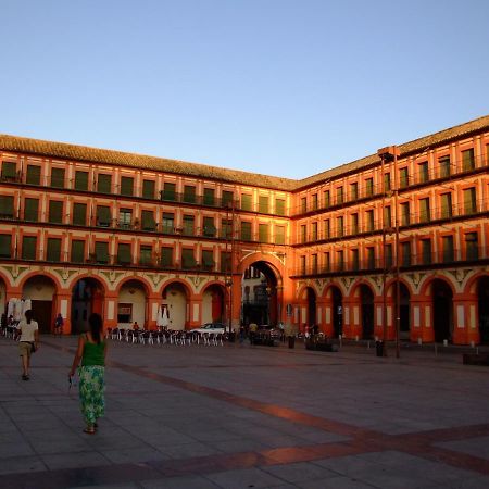 Apartmán Nuevo Loft Centrico Parking Gratuito Córdoba Exteriér fotografie