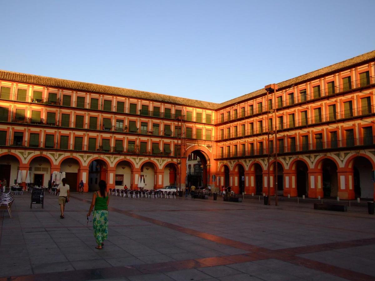 Apartmán Nuevo Loft Centrico Parking Gratuito Córdoba Exteriér fotografie